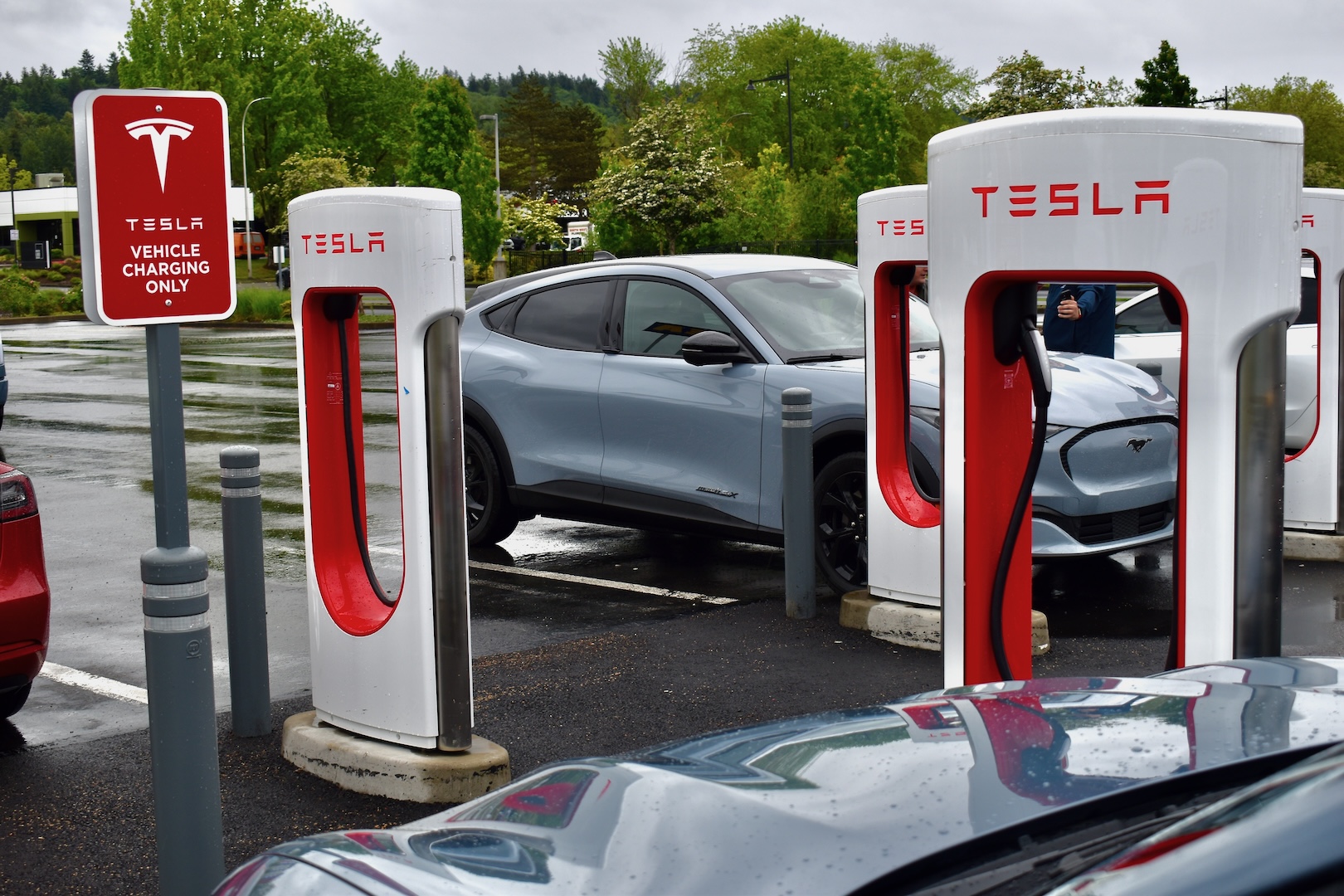 2024 Ford Mustang Mach-Es charge at Supercharger stalls in Washington.